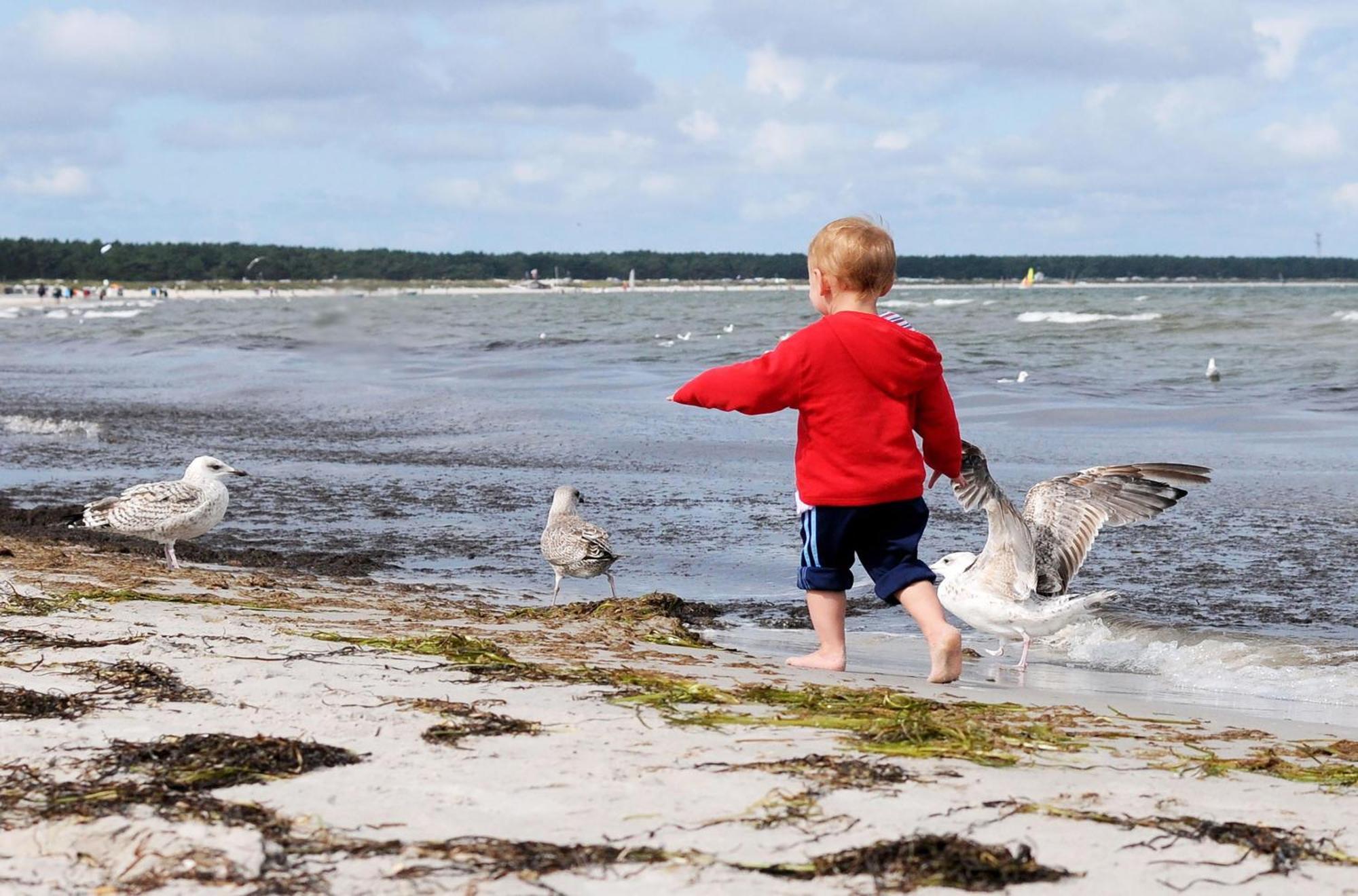 Leuchtturm An Der Seebruecke Zingst Εξωτερικό φωτογραφία